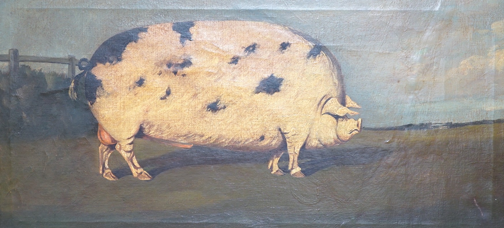 English School, oil on canvas, Primitive study of a prize pig in a landscape, 27 x 58cm, maple framed